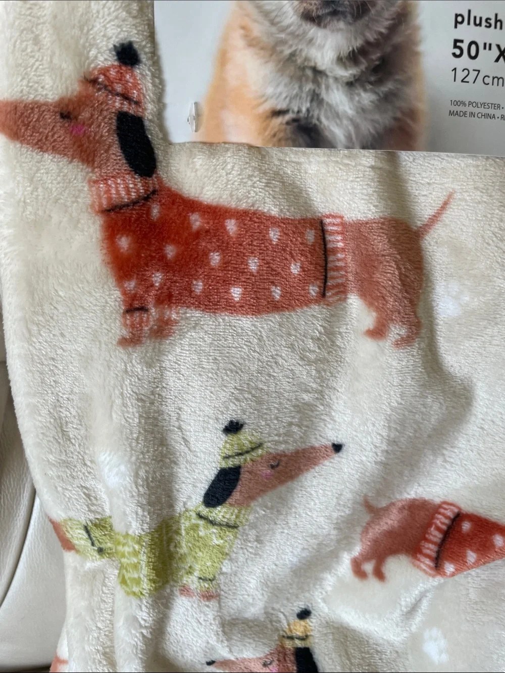 Dachshunds in sweaters and caps super soft throw